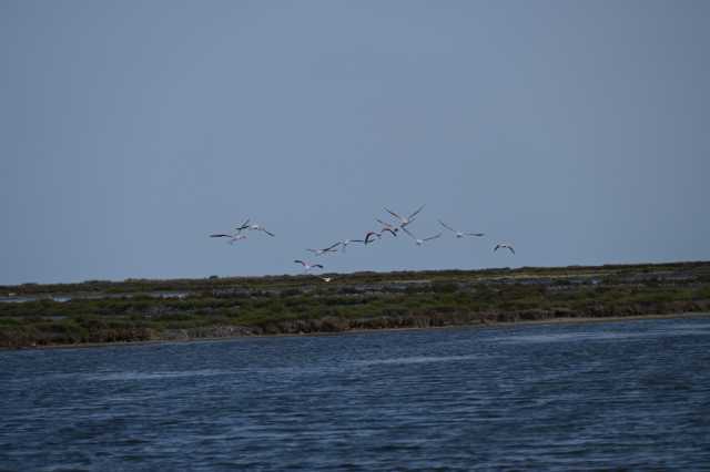 DSC_9490.JPG