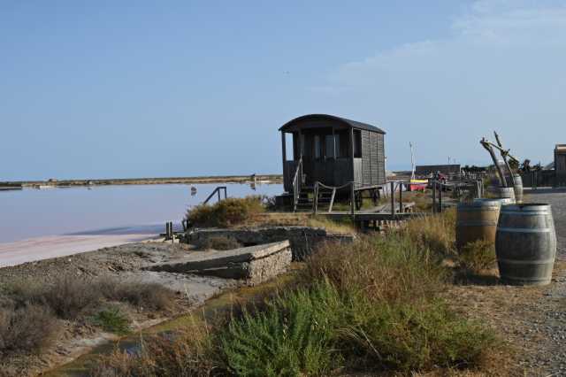 DSC_9499.JPG