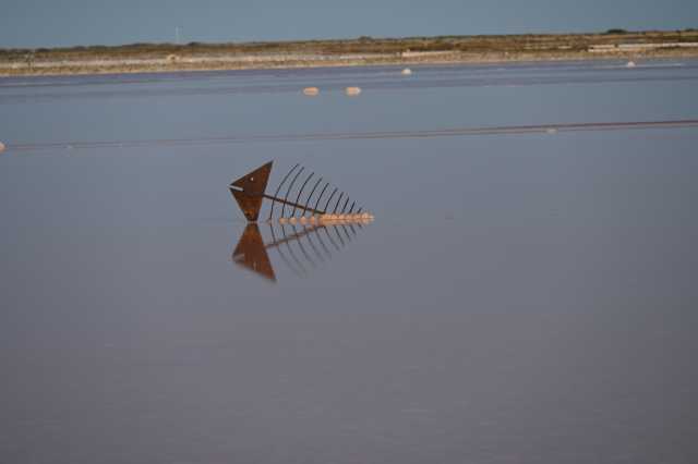 DSC_9512.JPG
