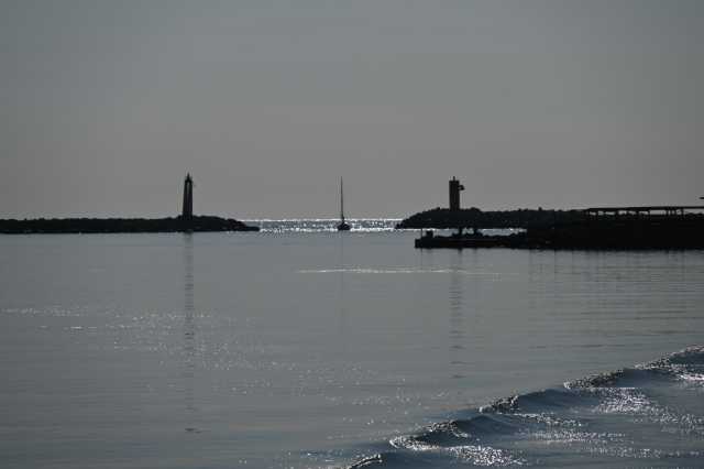 DSC_9546.JPG