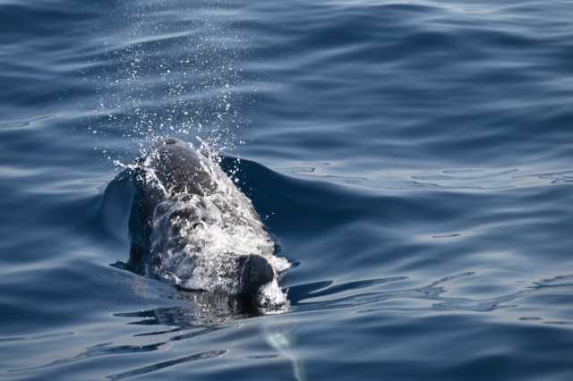 DSC_9586.JPG