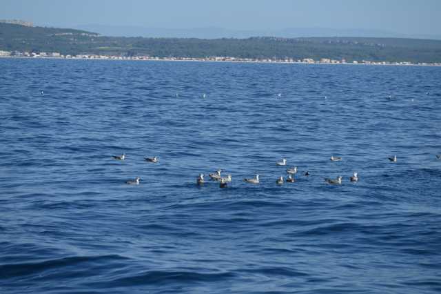 DSC_9618.JPG