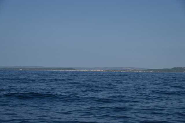 DSC_9619.JPG