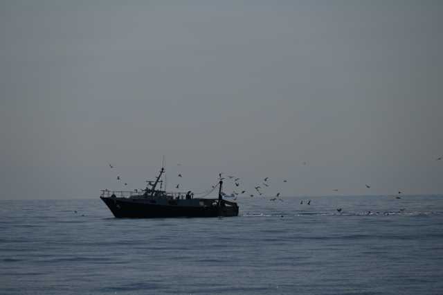 DSC_9636.JPG