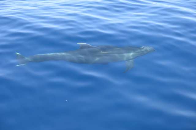 DSC_9813.JPG