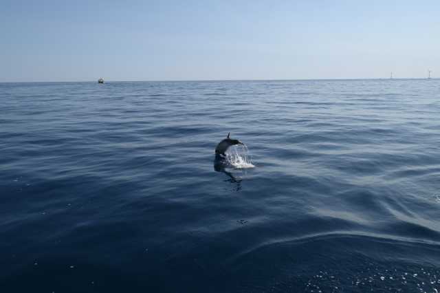 DSC_9863.JPG