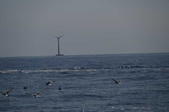 DSC_9873.JPG
