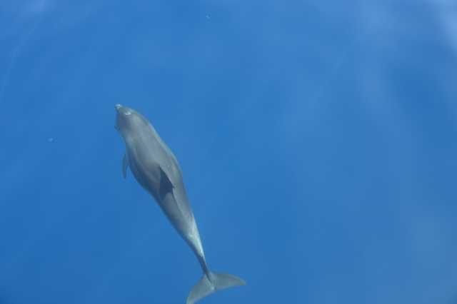 DSC_9904.JPG
