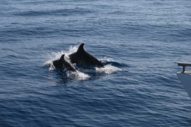 DSC_9926.JPG