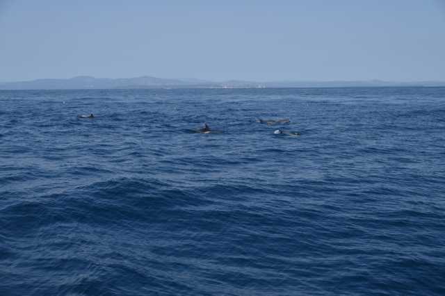 DSC_9940.JPG