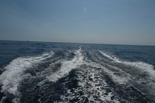 DSC_9952.JPG