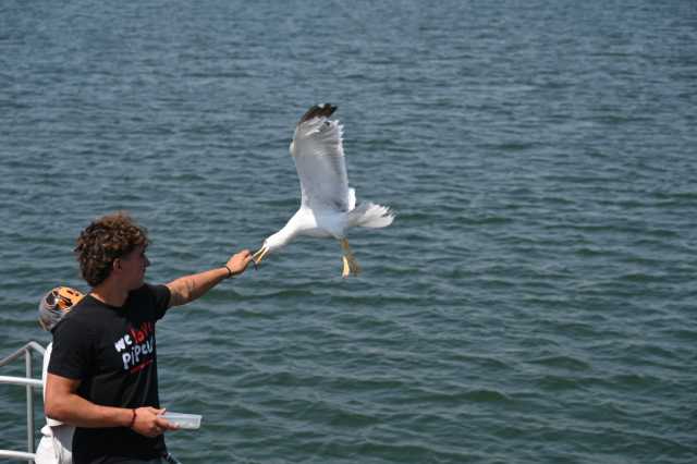 DSC_9968.JPG