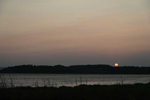 DSC_9987.JPG
