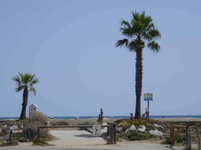 IMGP0699.JPG