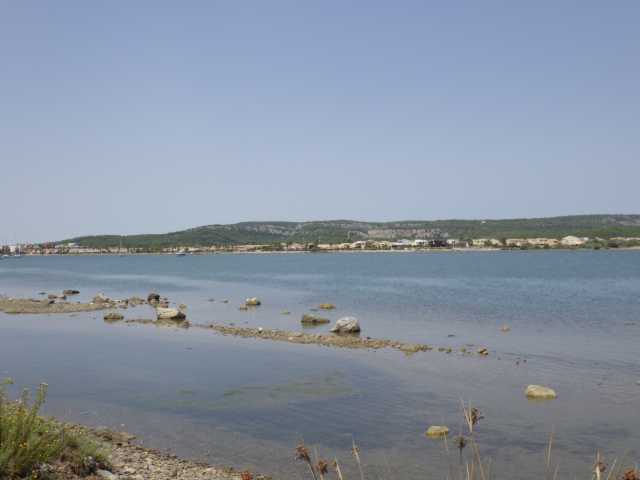 IMGP0701.JPG