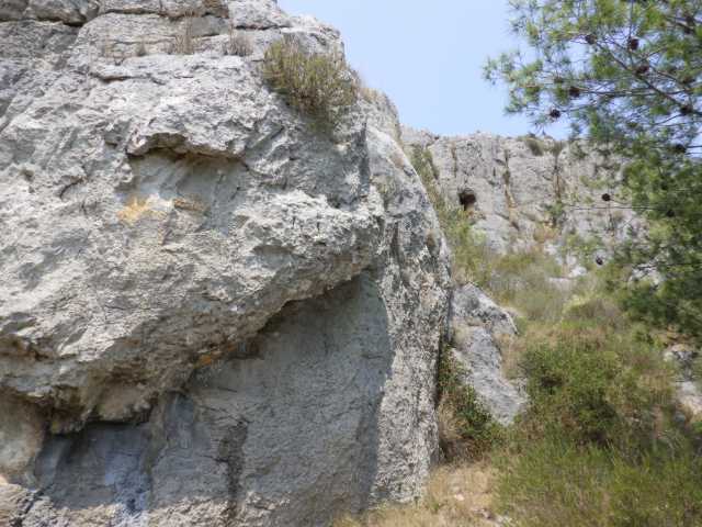 IMGP0764.JPG
