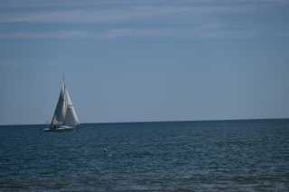 DSC_0134.JPG