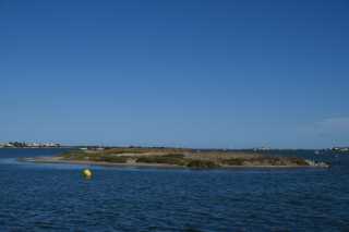 DSC_0168.JPG