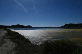 DSC_0178.JPG