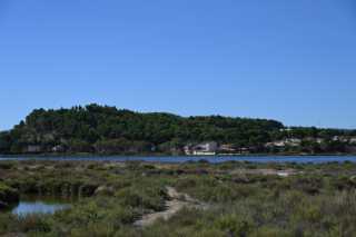 DSC_0195.JPG