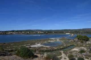 DSC_0198.JPG