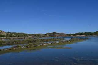 DSC_0253.JPG