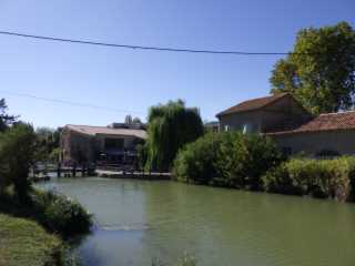 IMGP0874.JPG