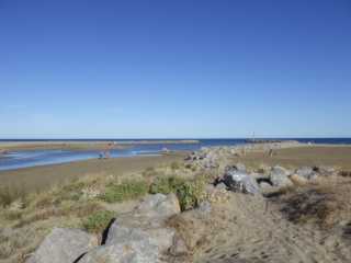 IMGP0882.JPG
