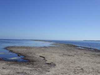 IMGP0887.JPG