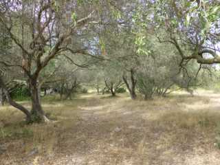 IMGP0895.JPG