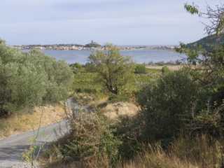 IMGP0906.JPG