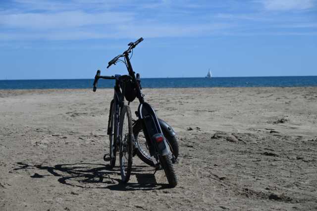 DSC_0147.JPG