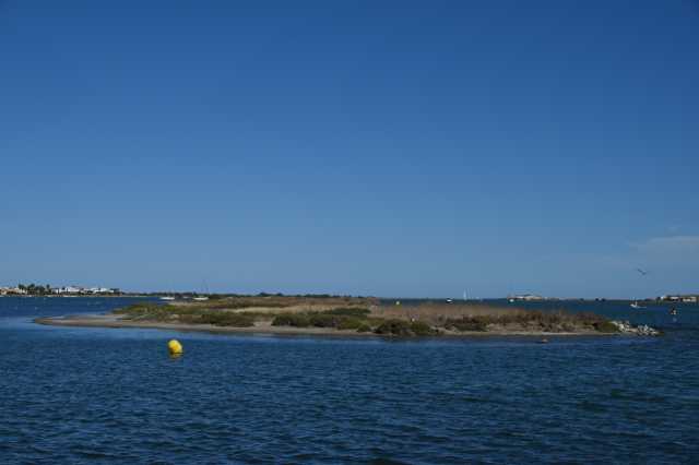 DSC_0168.JPG