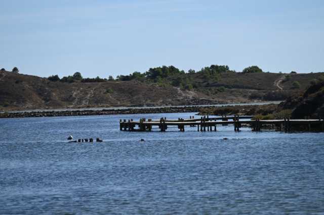 DSC_0184.JPG