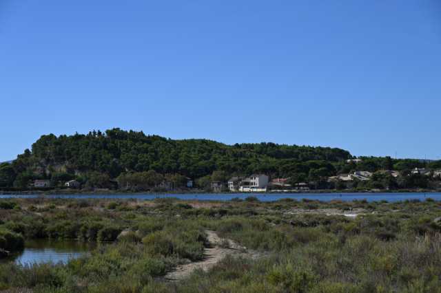DSC_0195.JPG