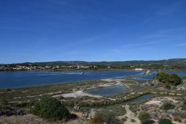 DSC_0198.JPG