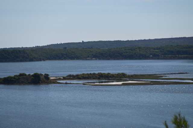 DSC_0219.JPG