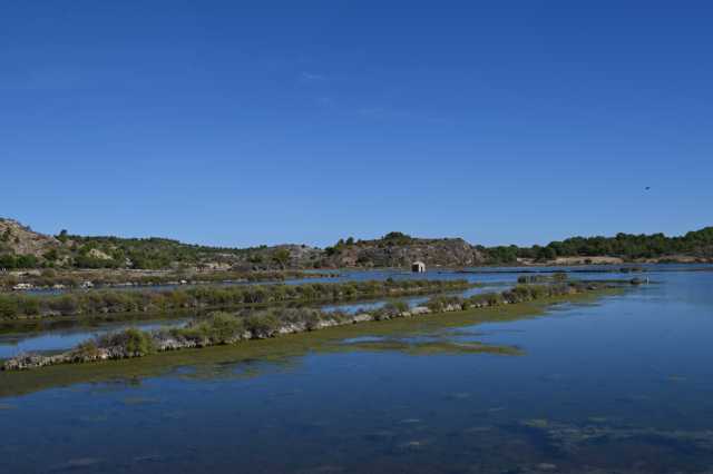 DSC_0253.JPG