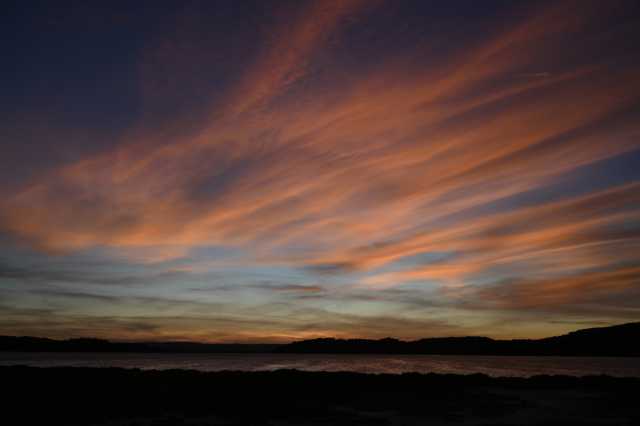 DSC_0305.JPG