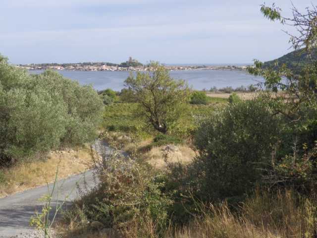 IMGP0906.JPG